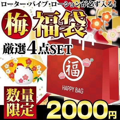 【梅】福袋2000円