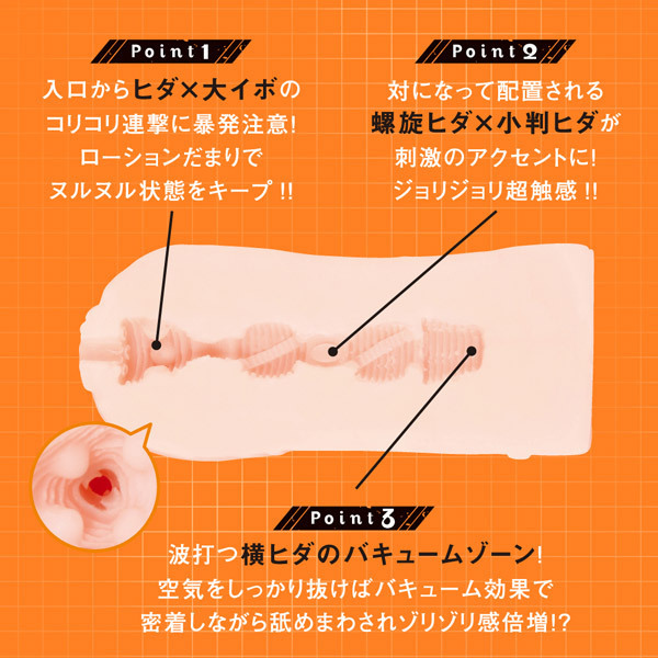 さくらの内部構造