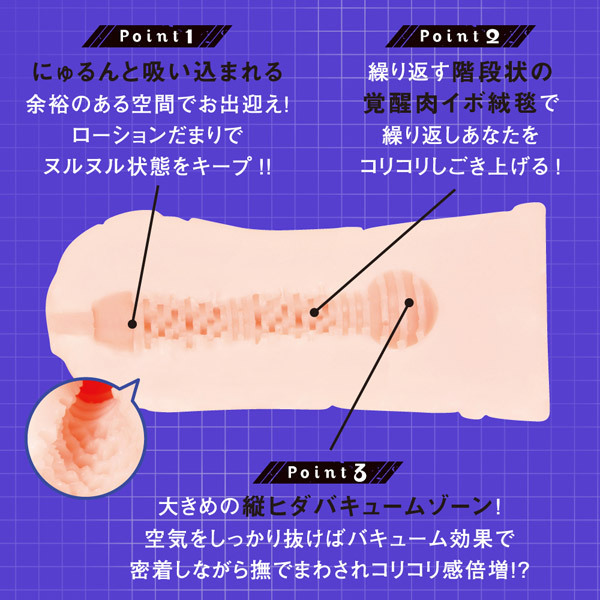 紫の内部構造