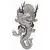 タトゥーシール 大型・線画黒龍