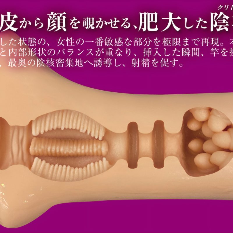 Alternative view of まるごと陰核　（クリトリス）