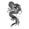 タトゥーシール　白玉黒龍